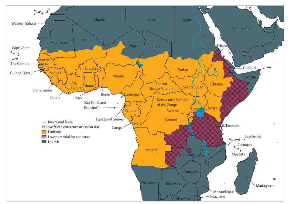 What is the cost and benefit of getting a yellow fever vaccine?