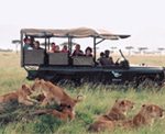 safarivehicle.jpg