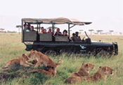 safari luxury reasons to choose why luxury safari african portfolio