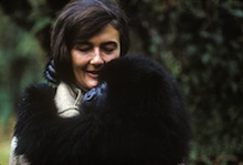 dianfossey