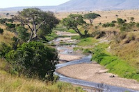 Sand River - Border between Masai Mara & Serengeti
