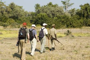 Walking Safari Zambia