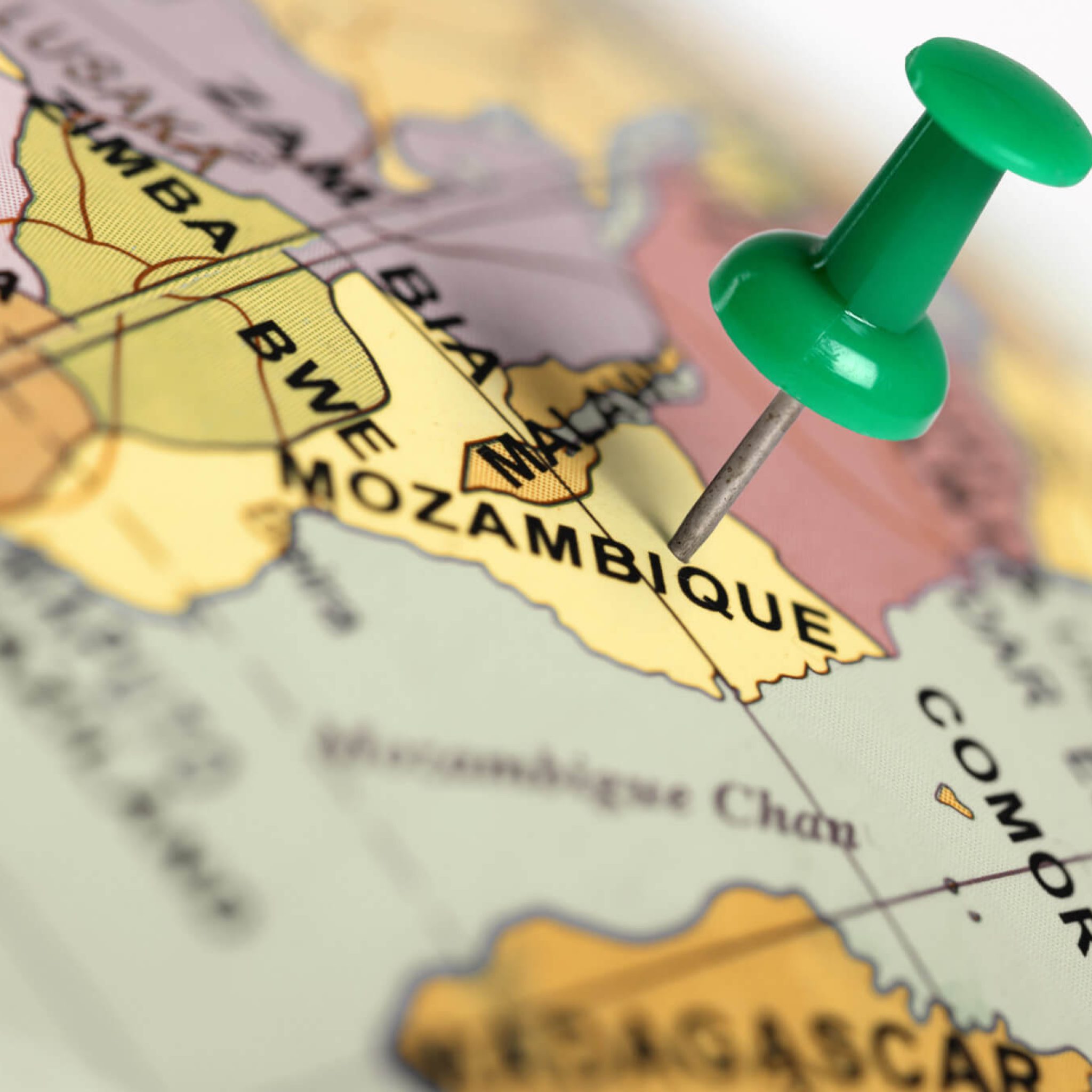 Home African Portfolio