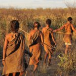 adobe stock kalahari bushmen