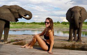 Gabby-Elephants at Somalisa