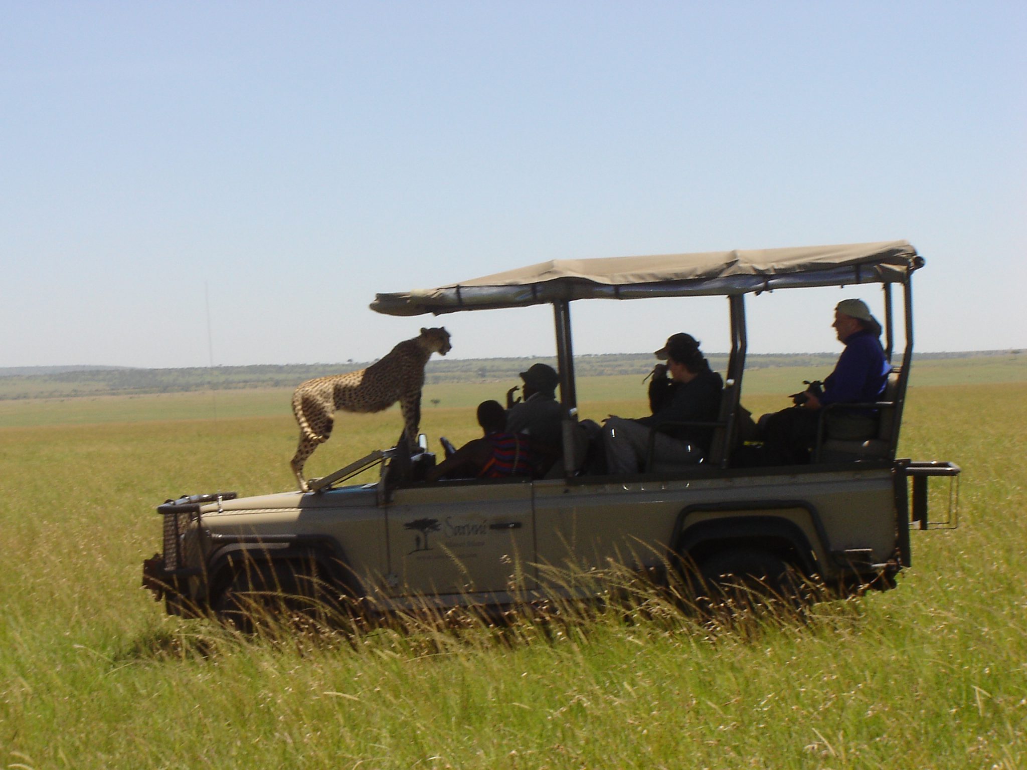 Safari Etiquette - How to Behave on Safari - African Portfolio